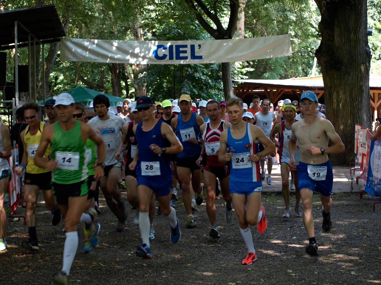 fotosoutez vlozeno z webu