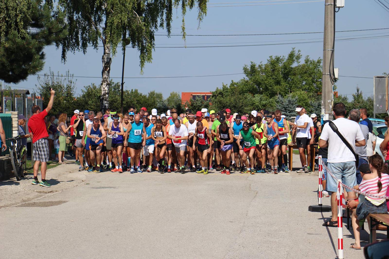 fotosoutez vlozeno z webu