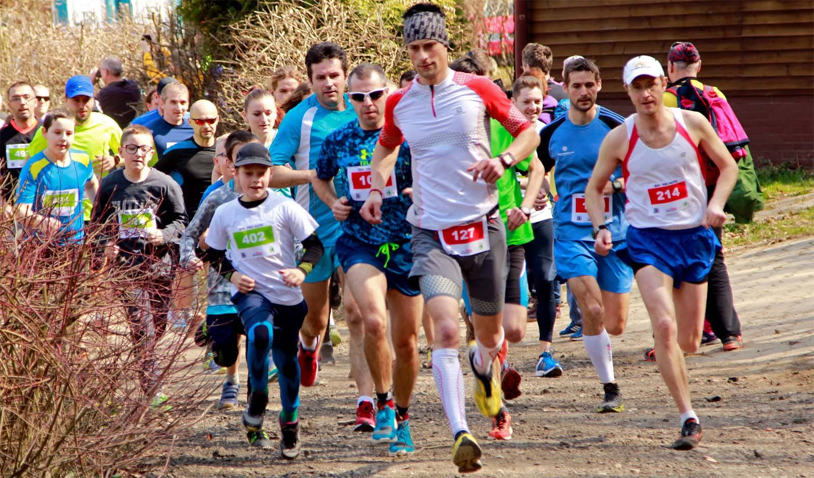 fotosoutez vlozeno z webu