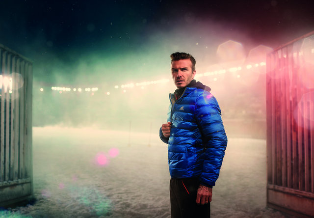 adidas - david