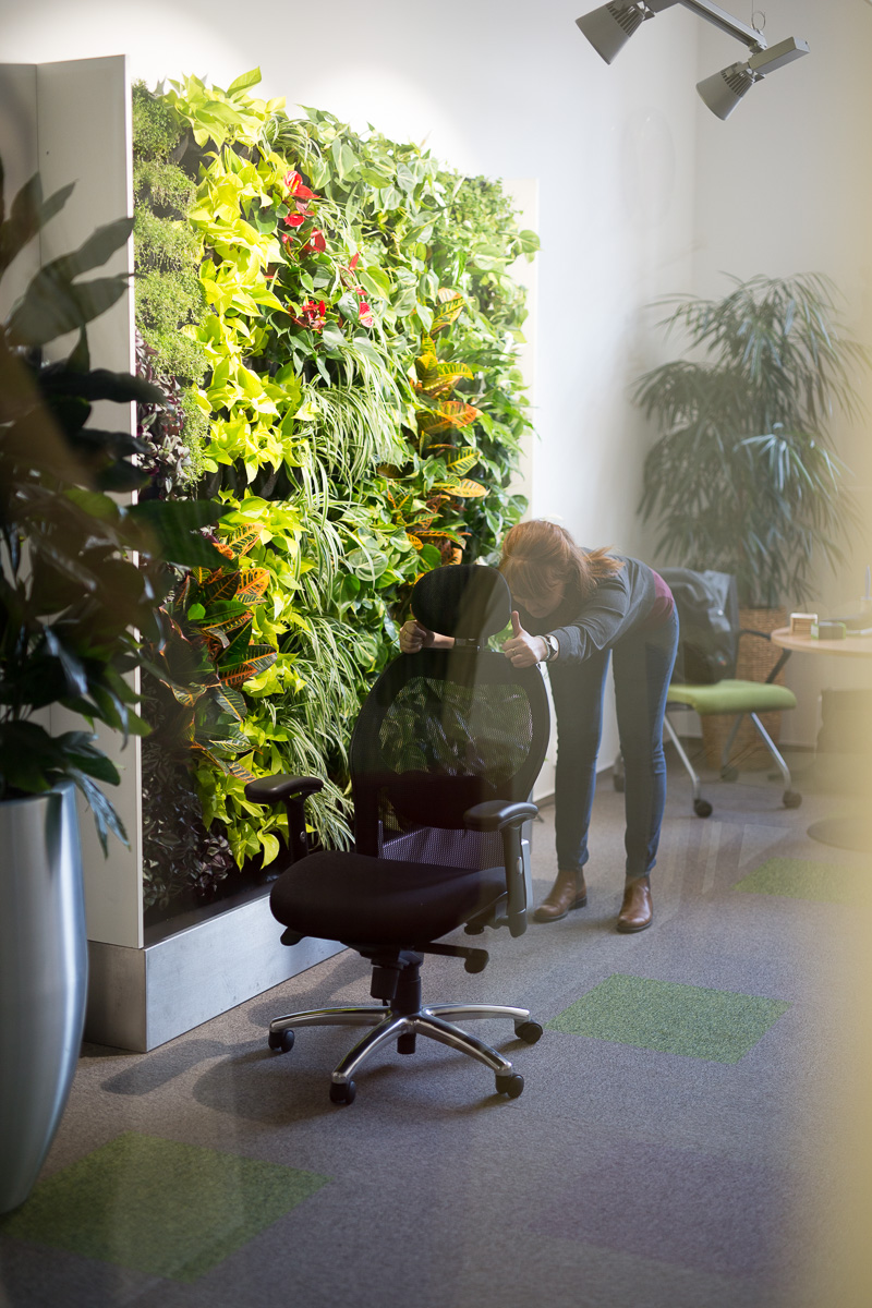 Joga_Office_2