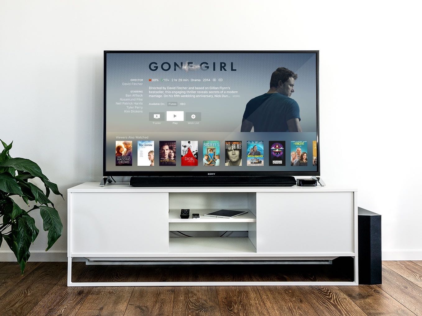 TV