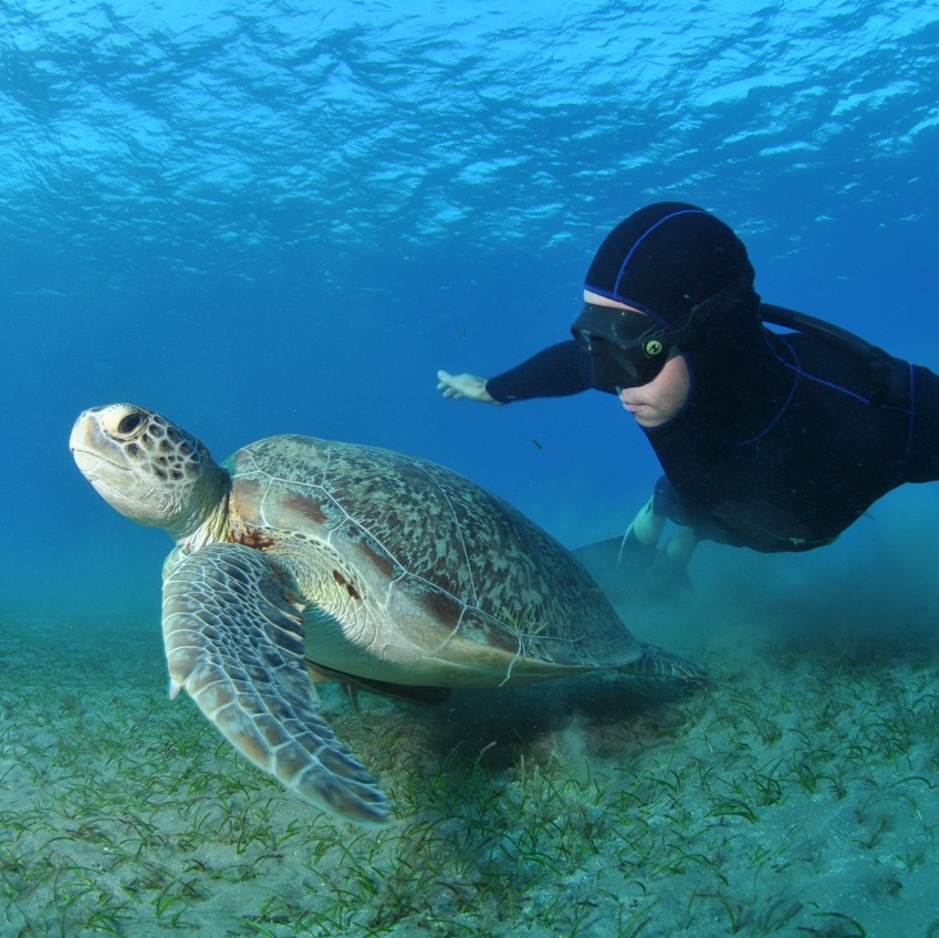 Freediving – dokonalé sebaovládanie (nielen) pod vodou