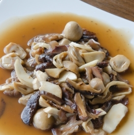 Dubákové ragú